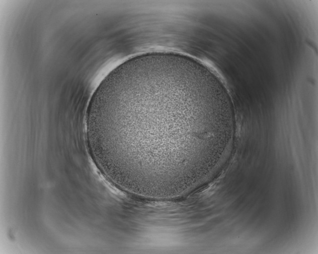 X0000100401287200806131005