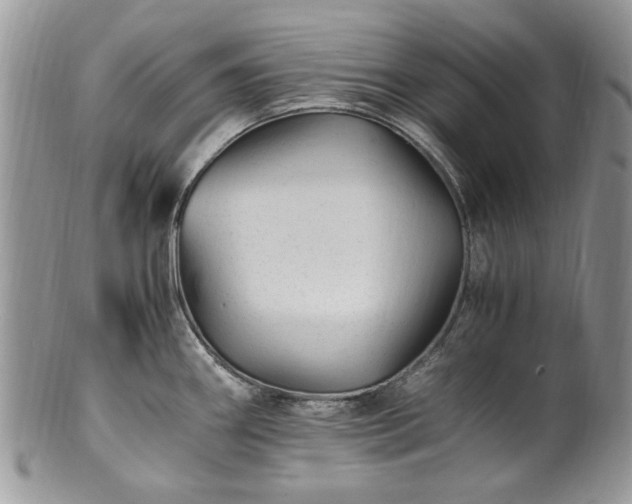 X0000100401290200806131005