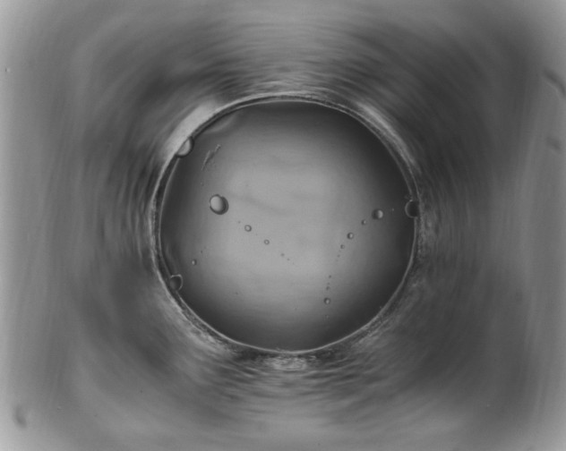 X0000100401291200806131005
