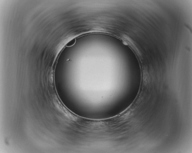 X0000100401292200806131005
