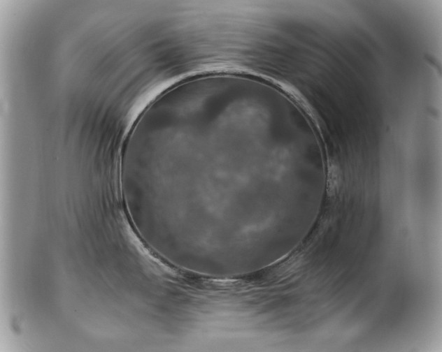 X0000100401295200806131005