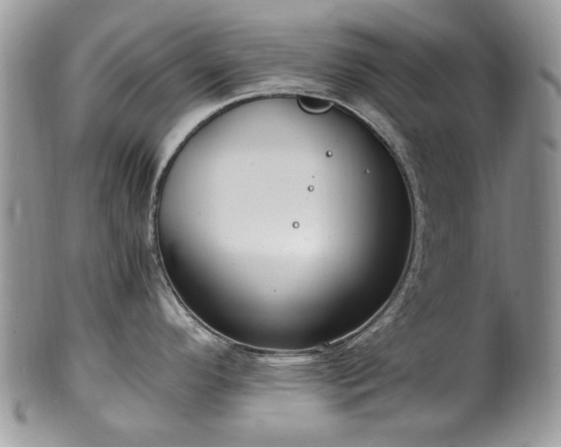 X0000100401296200806131005