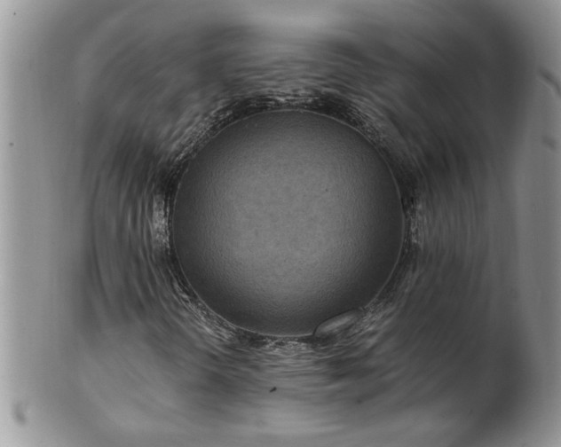 X0000100401298200806131005
