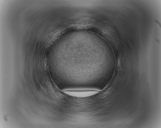 X0000100401300200806131005