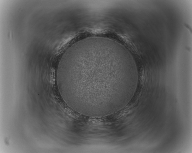 X0000100401301200806131005