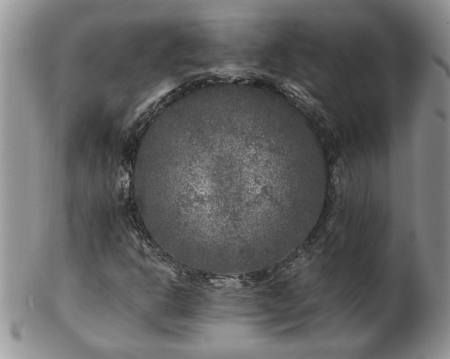 X0000100401302200806131005