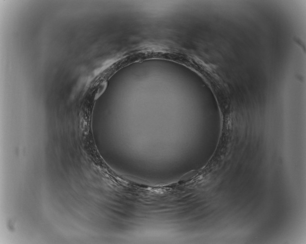 X0000100401303200806131005