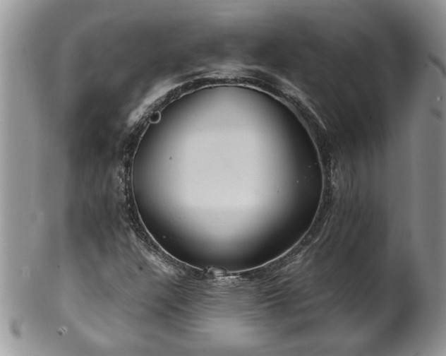 X0000100401304200806131005