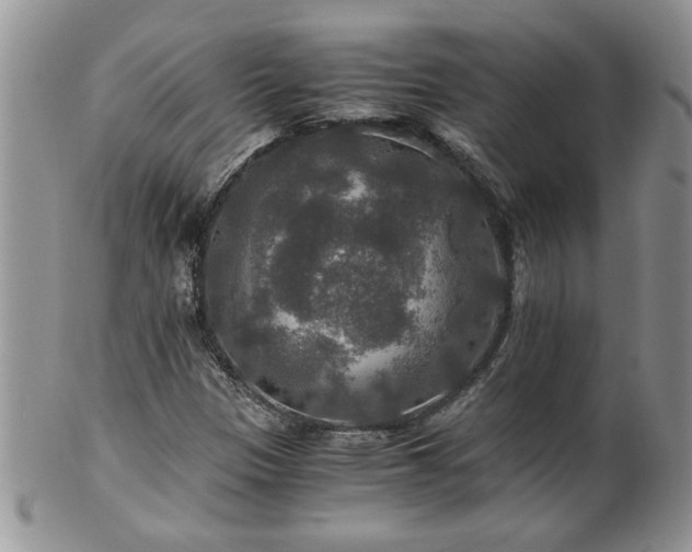 X0000100401305200806131005