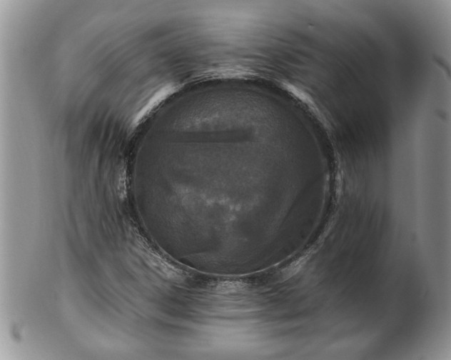 X0000100401306200806131005