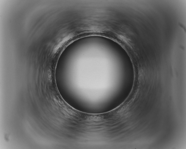 X0000100401307200806131005
