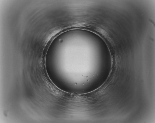 X0000100401308200806131005
