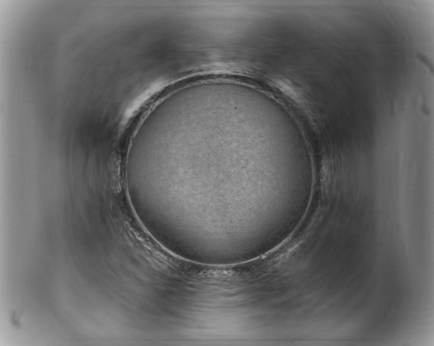 X0000100401310200806131005