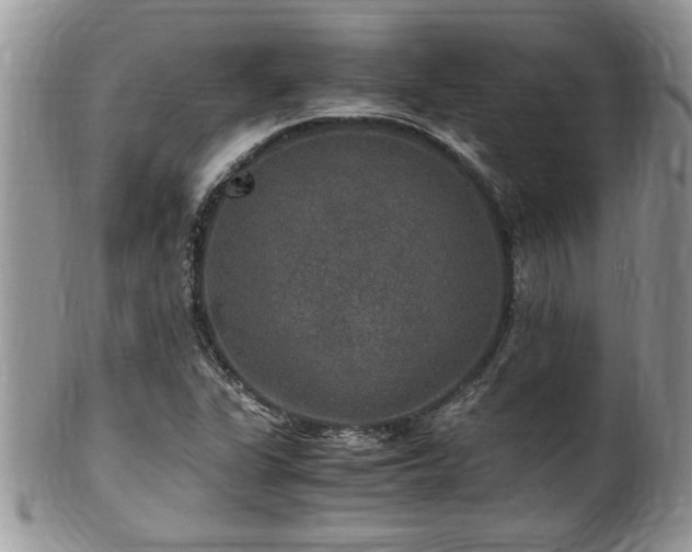 X0000100401311200806131005