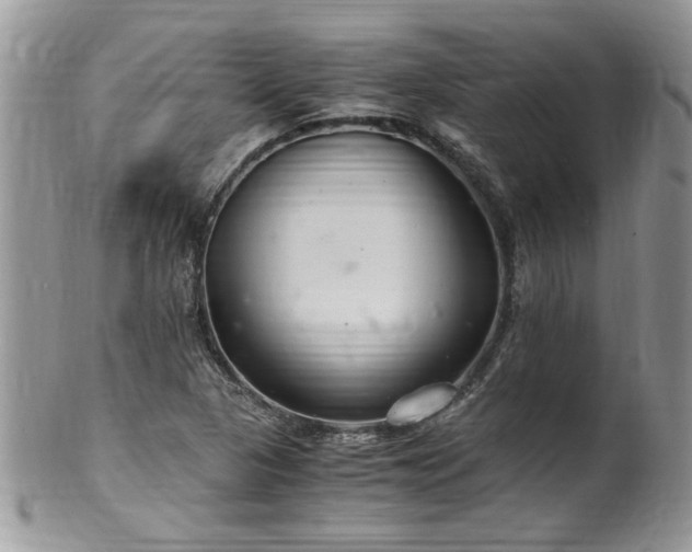 X0000100401313200806131005