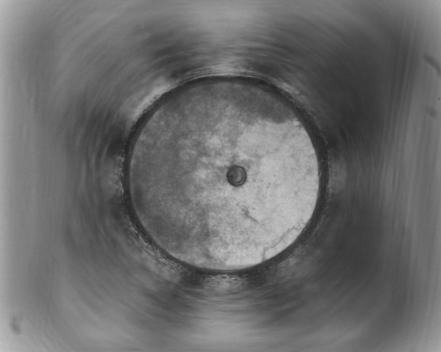 X0000100401314200806131005