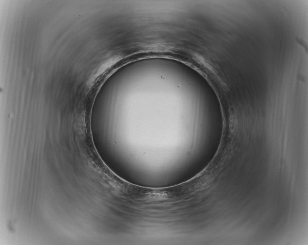 X0000100401315200806131005
