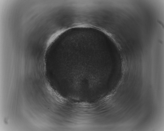 X0000100401319200806131005