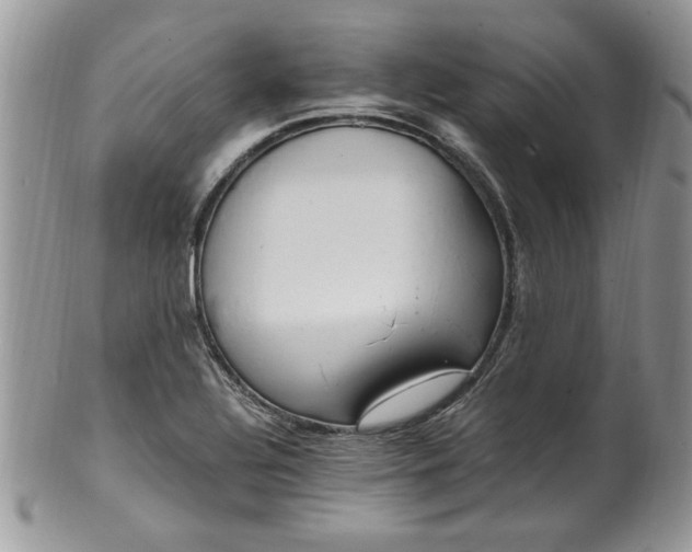 X0000100401320200806131005