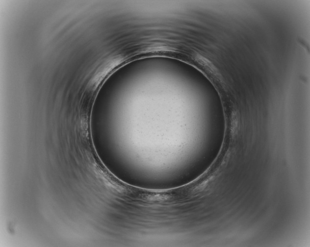 X0000100401321200806131005