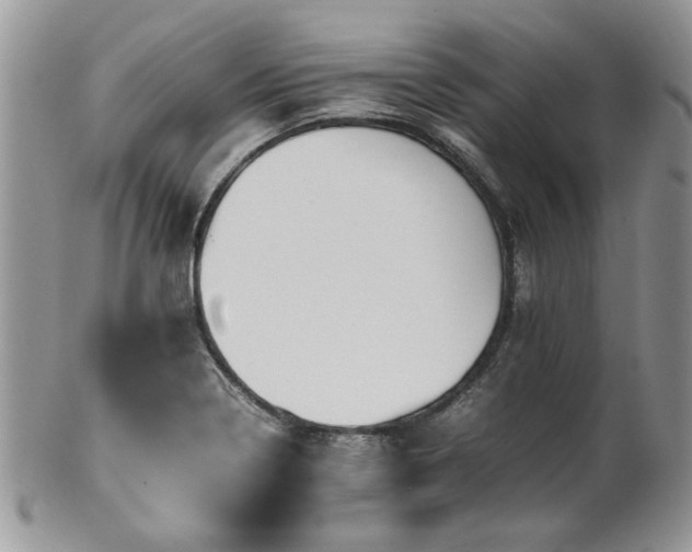 X0000100401322200806131005