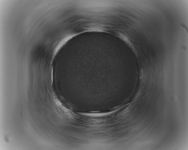 X0000100401323200806131005