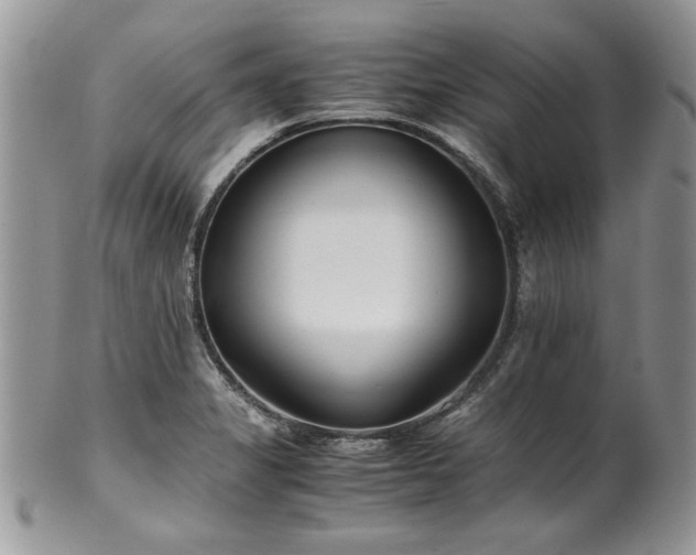 X0000100401325200806131005
