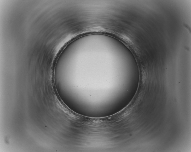 X0000100401326200806131005