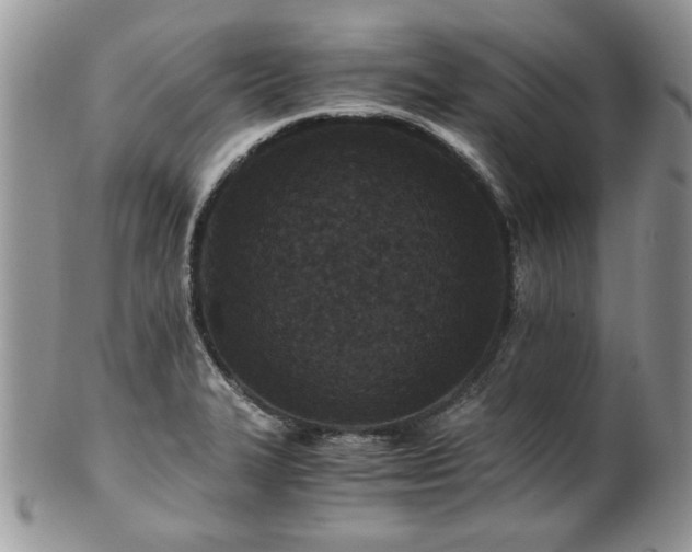 X0000100401327200806131005
