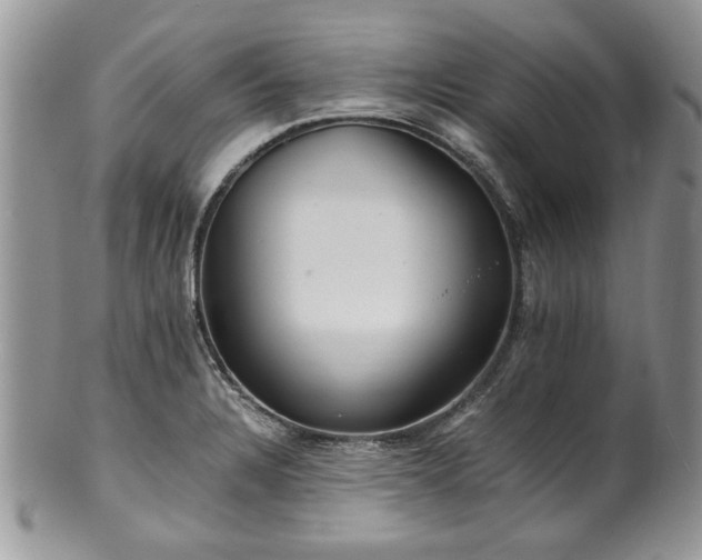 X0000100401328200806131005