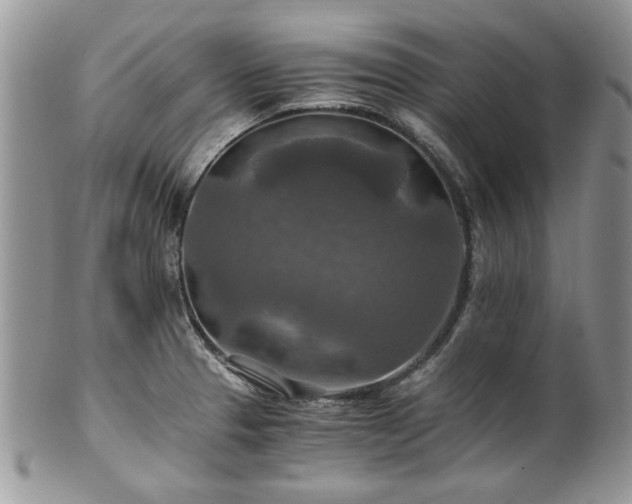 X0000100401329200806131005