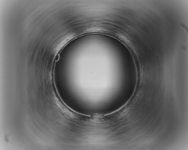 X0000100401330200806131005