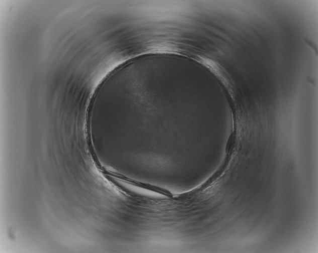X0000100401331200806131005