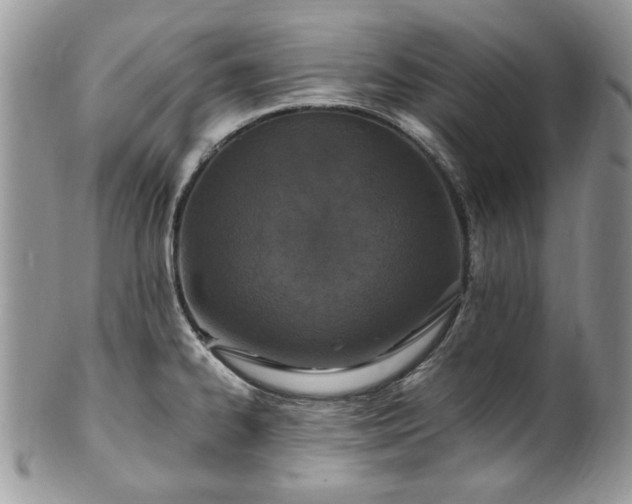 X0000100401334200806131005