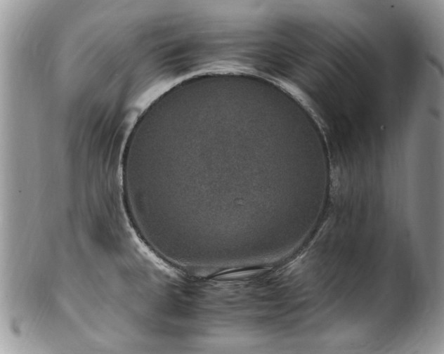 X0000100401335200806131005