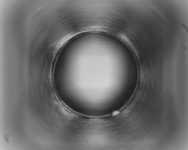 X0000100401336200806131005