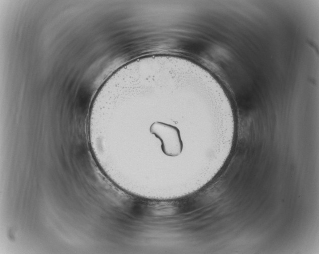 X0000100401338200806131005