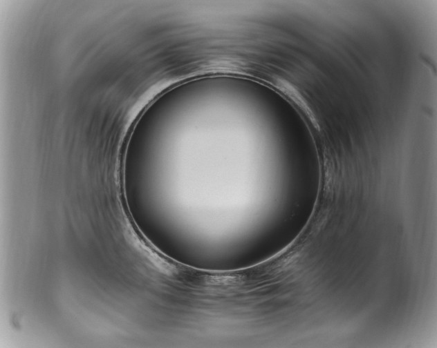 X0000100401339200806131005