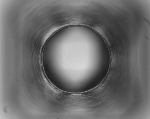 X0000100401342200806131005