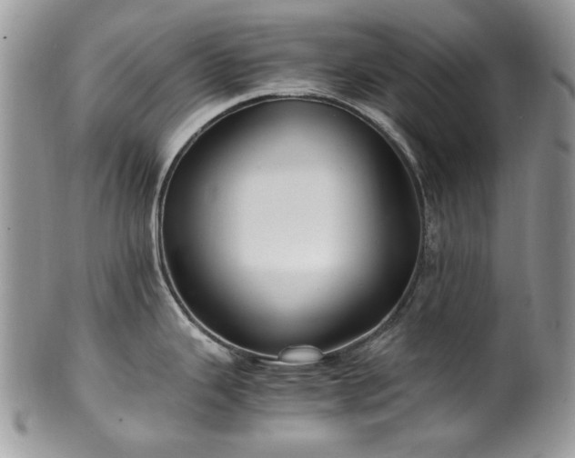 X0000100401343200806131005