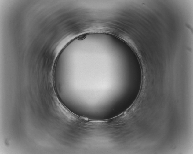 X0000100401344200806131005
