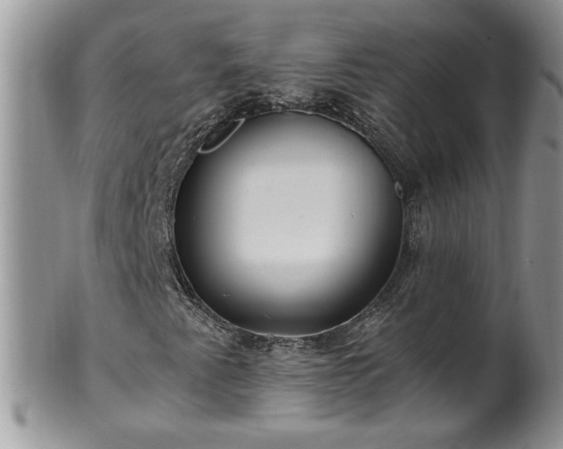X0000100401345200806131005