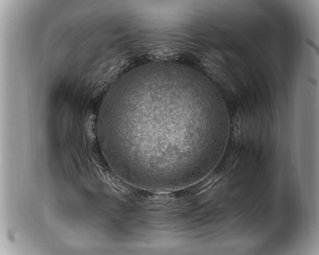 X0000100401346200806131005