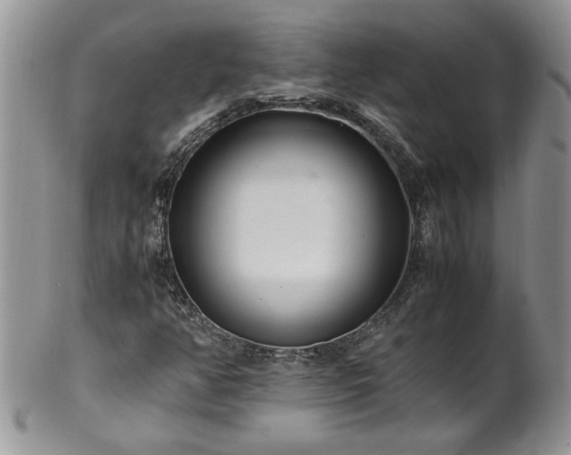 X0000100401350200806131005