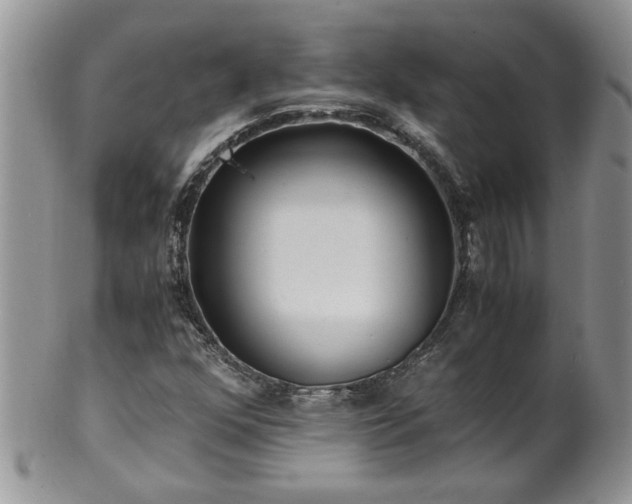 X0000100401352200806131005