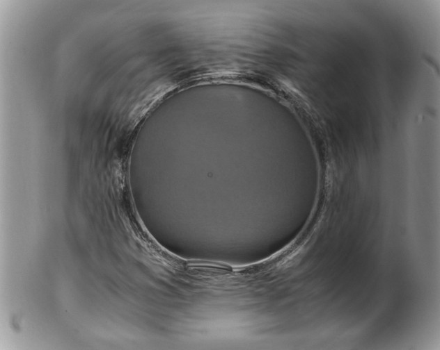 X0000100401353200806131004