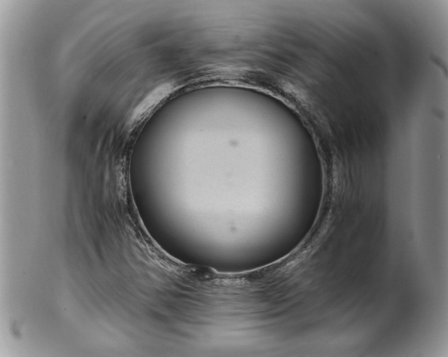 X0000100401354200806131004