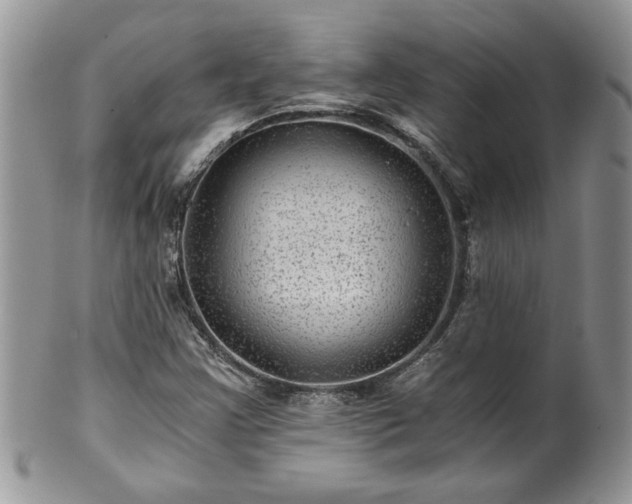 X0000100401355200806131004