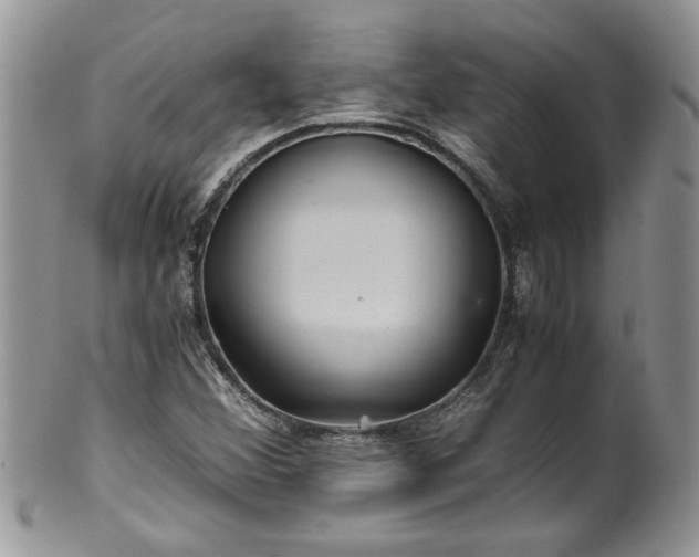 X0000100401356200806131004