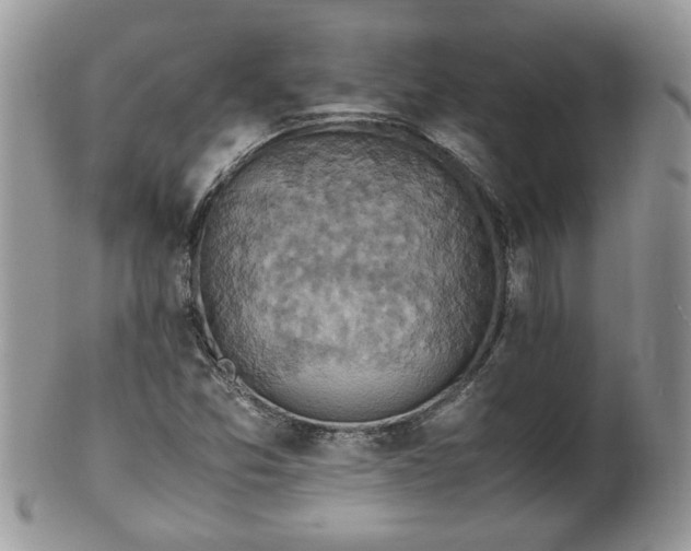 X0000100401357200806131004